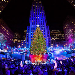 点亮全球奢华的巨大耶诞树