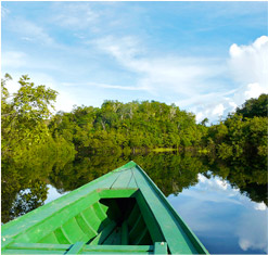 游艇穿梭亚马逊雨林  垂钓食人鱼