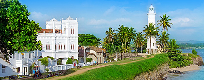斯里兰卡全景．世遗探秘+高山茶园+国家公园9天
