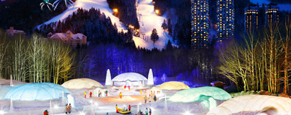 日本北海道．星野TOMAMU滑雪度假+登别+札幌5天