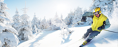 瑞士．滑雪天堂+阿尔卑斯温泉+景观列车+雪山湖畔9天