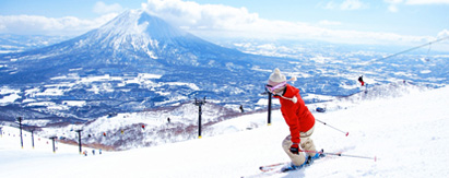 日本北海道·洞爷湖温莎+私属滑雪场+米其林+东京7天