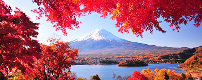 日本．东京+伊豆+箱根．海景温泉+修善寺枫情5天