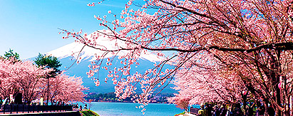 日本‧箱根+富士山+东京‧私属赏樱庭院温泉5天