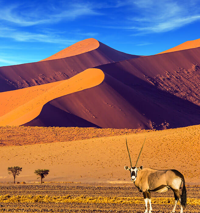 孤独星球力荐必访，摄影船专业指导