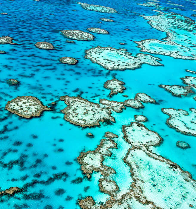 艾尔斯岩，凯恩斯大堡礁，攀爬悉尼大桥