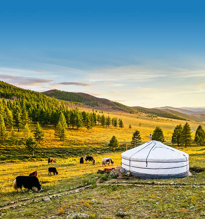 千里草原骏马奔腾，奢华蒙古包体验