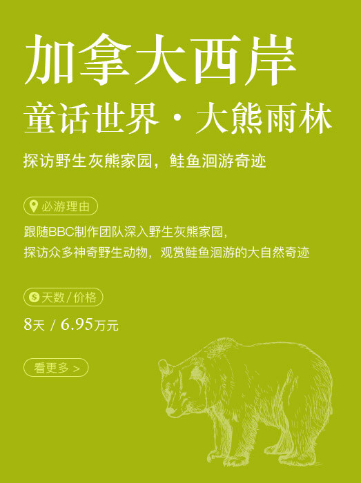 加拿大西岸_童话世界‧大熊雨林