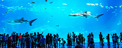 澳门+珠海·长隆海洋王国VIP+天浪淘园玩水+悦榕庄4天